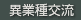 異業種交流
